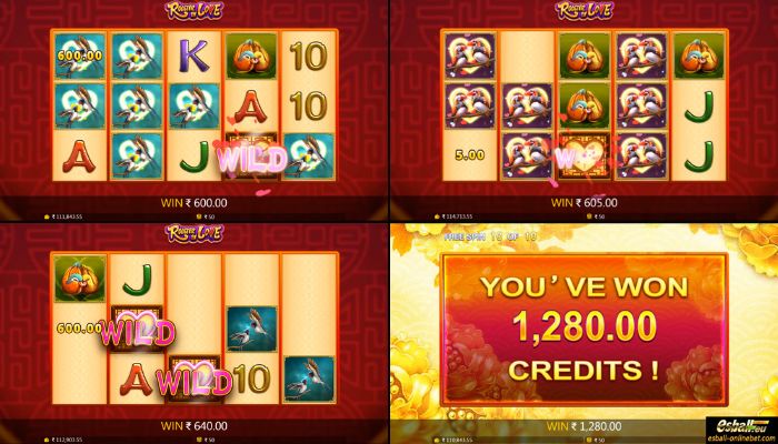 Rooster In Love Big Win Rooster In Love Big Win