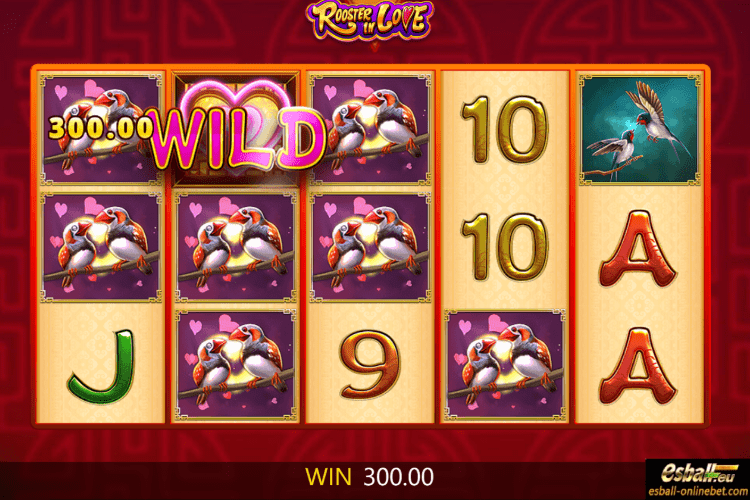 Rooster In Love Slot Game Big Award