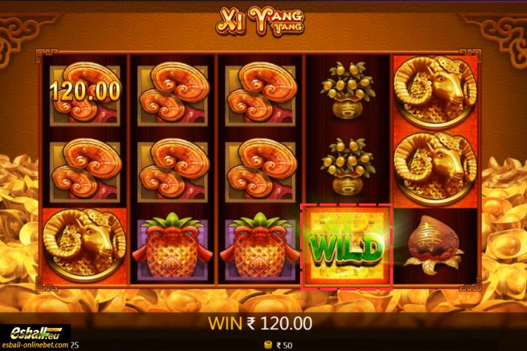Xi Yang Yang Wild Xi Yang Yang Wild