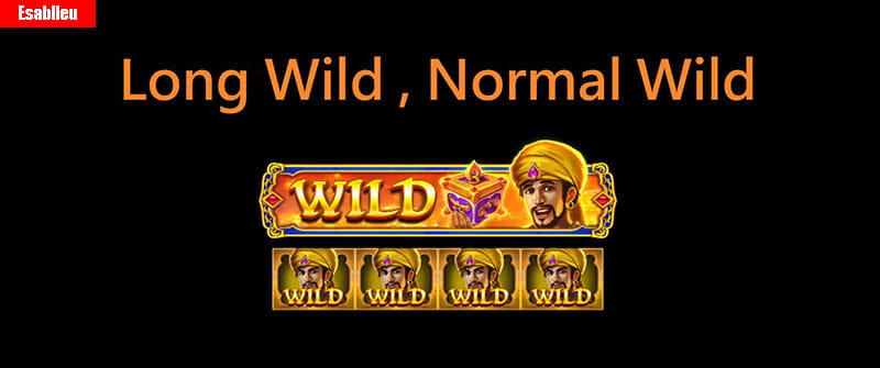 Jili Alibaba Long Wild, Normal Wild Jili Alibaba Long Wild, Normal Wild