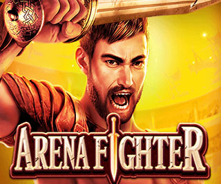 Arena Fighter Demo