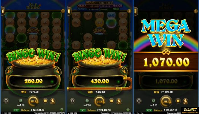 Elf Bingo Big Win Elf Bingo Big Win