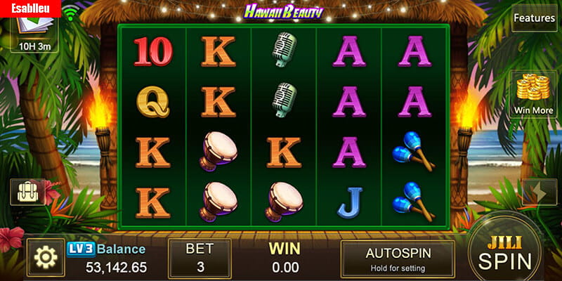 Hawaii Beauty Slot Machine