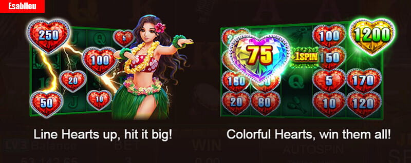 Hawaii Beauty Slot Machine