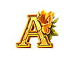 Jungle King Slot Game Symbol Jungle King Slot Game Symbol