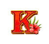 Jungle King Slot Game Symbol Jungle King Slot Game Symbol