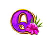 Jungle King Slot Game Symbol Jungle King Slot Game Symbol