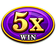 Multiplier Symbol Multiplier Symbol