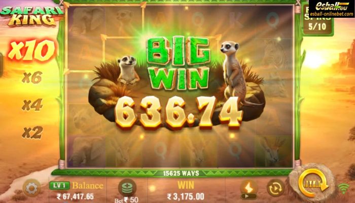Safari King Slot Big Win