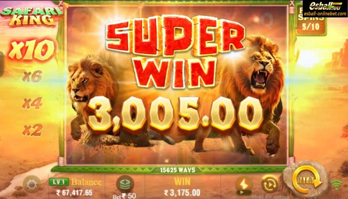 Safari King Slot Big Win