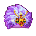 JILI Samba Slot Machine Payouts 3