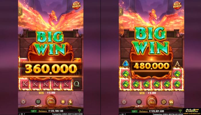 Trial Of Phoenix Big Win Trial Of Phoenix Big Win