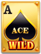 Wild Ace Slot Symbol Wild Ace Slot Symbol