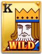 Wild Ace Slot Symbol Wild Ace Slot Symbol