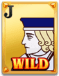 Wild Ace Slot Symbol Wild Ace Slot Symbol