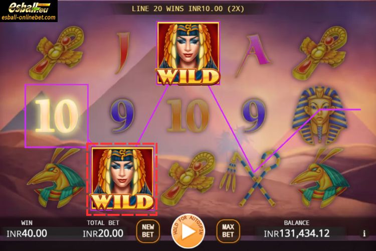 Egyptian Empress Wild Egyptian Empress Wild