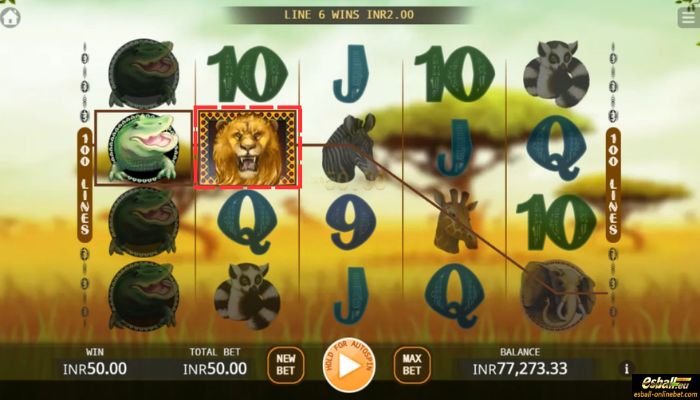 Safari Slots Wild Safari Slots Wild