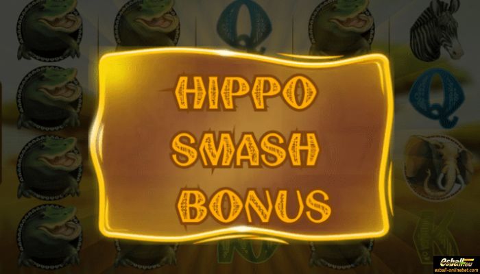 Safari Slots Hippo Smash Bonus Safari Slots Hippo Smash Bonus