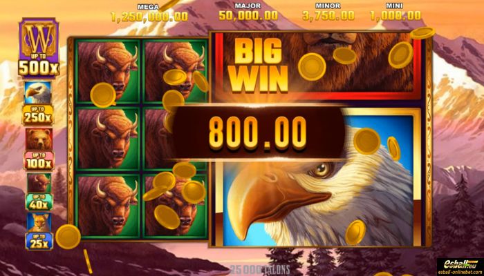 MG 25000 Talons Big Win MG 25000 Talons Big Win