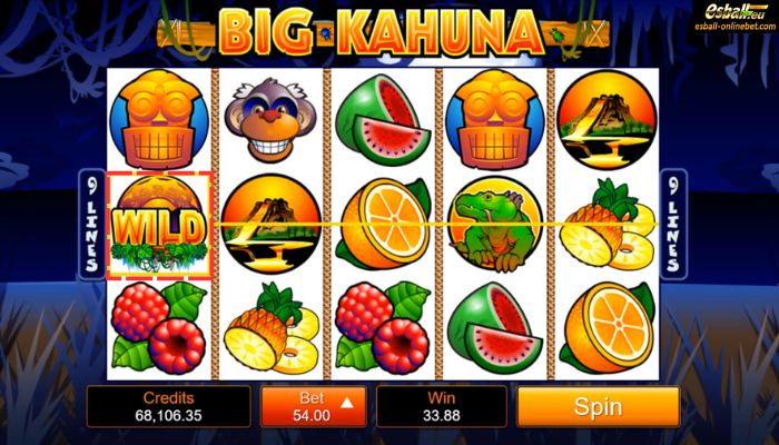 Big Kahuna Slot Wild Big Kahuna Slot Wild