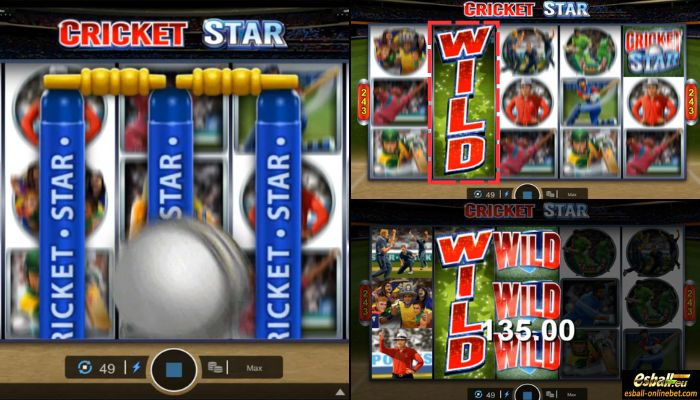 Cricket Star Slot Wild Wickets Feature Cricket Star Slot Wild Wickets Feature
