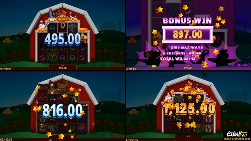 Lucky Clucks Big Win Lucky Clucks Big Win