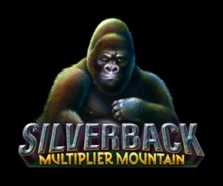 MG Silverback: Multiplier Mountain