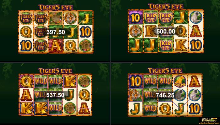 Tiger's Eye Big Win Tiger's Eye Big Win