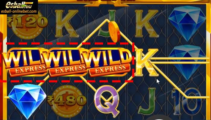 Wild Express