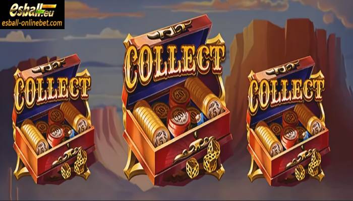 Collector Collector