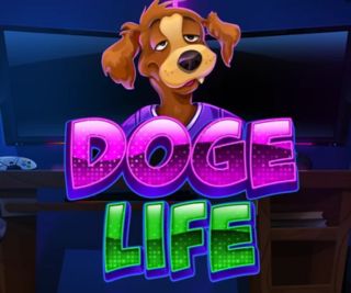 OCTOPLAY Doge Life Demo