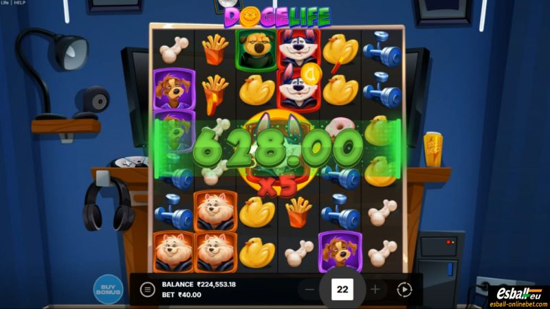 Doge Life Big Win Doge Life Big Win