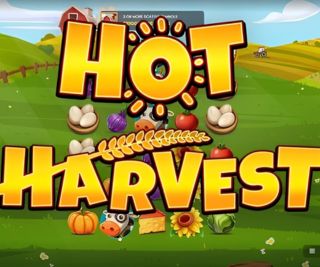 OCTOPLAY Hot Harvest Demo