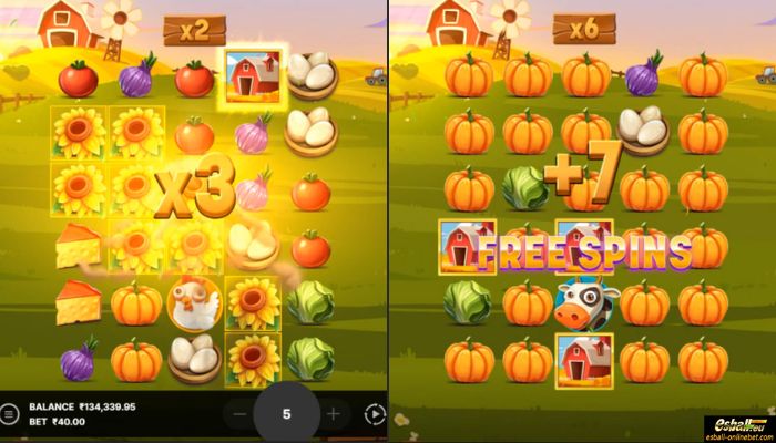 Hot Harvest Slot Free Spin Feature