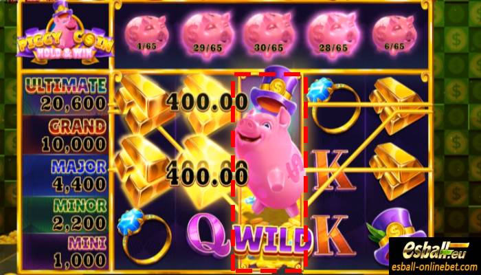 Piggy Wild Piggy Wild