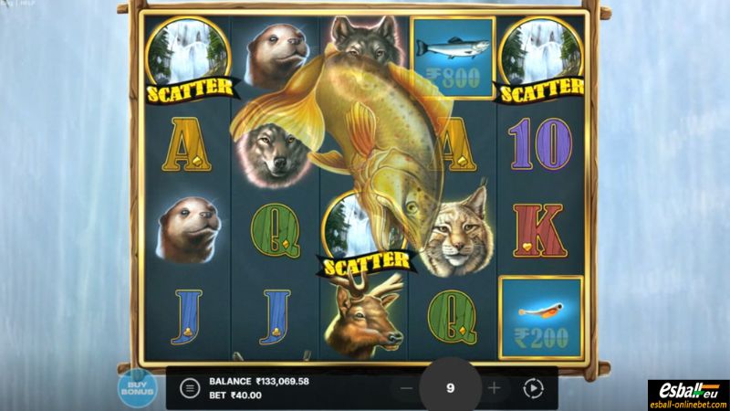 Salmon King Slot Gold Fish Salmon King Slot Gold Fish