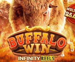 Buffalo Win