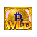 PG Crypto Gold Slot Games Payouts Values - Wild Symbol