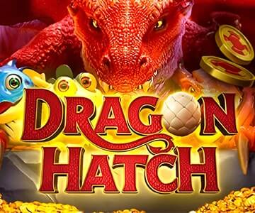 Dragon Hatch