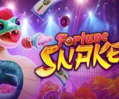 PG Fortune Snake Demo