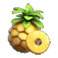 PG Jungle Delight Slot Machine Paytable 5