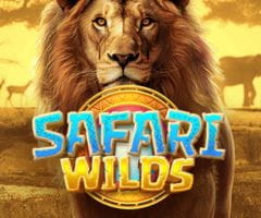 Safari Wilds