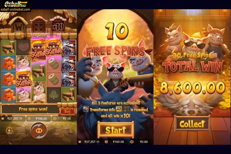 Three Crazy Piggies Slot Free Spins Three Crazy Piggies Slot Free Spins
