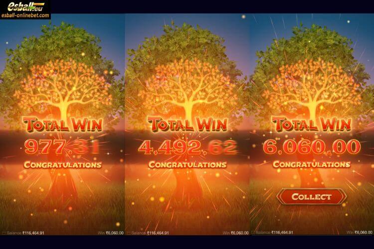 Tree Of Fortune Slot Big Win Tree Of Fortune Slot Big Win