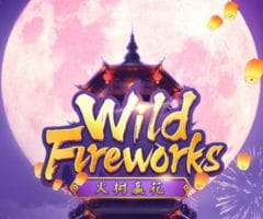 Wild Fireworks