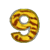 5 Tigers Slot Machine Payouts 11