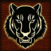 5 Tigers Slot Machine Special Symbol - Wild