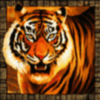 5 Tigers Slot Machine Payouts 1