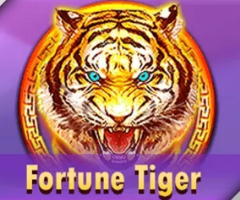 R88 Fortune Tiger Demo