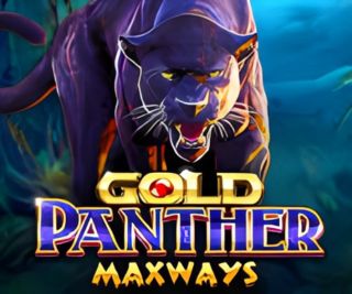 SG Gold Panther Maxways Demo